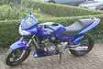 Hornet CB600F PC34 Bj.2001 Top Zustand