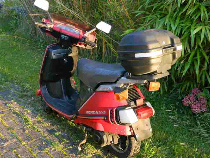 Honda Lead 125, Roller, Motorroller, Leichtkraftrad, Oldtimer