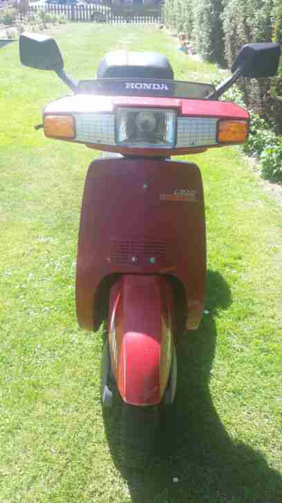 Honda Lead AF01 50 er Roller Bj 88 Oldtimer - Bestes ...