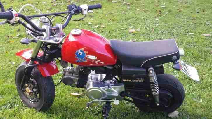 Honda Monkey Z ? Km 6857, läuft und ist versichert