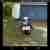 Honda NTV650 guter