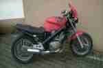 Ntv 650 RC33 (Scrambler,Cafe