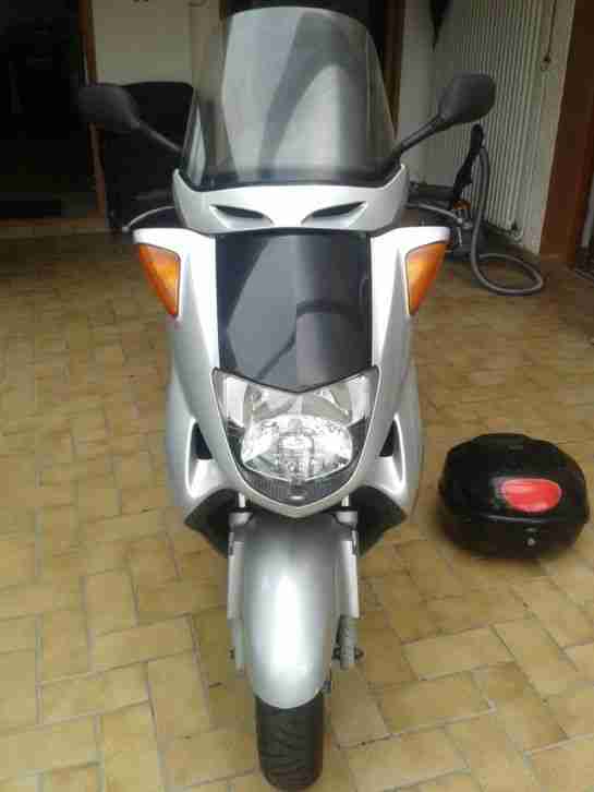 Honda Roller, Pantheon