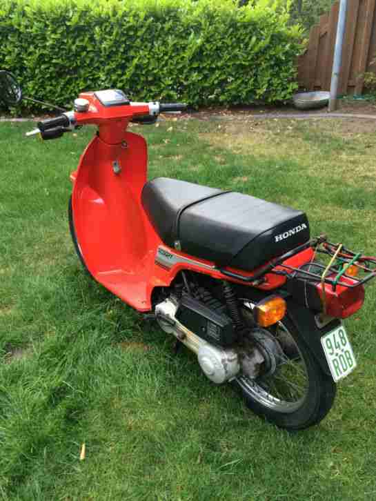 Honda Scoopy