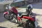 Shadow,600vt CUSTOM Chopper Bobber im