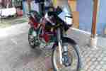 Trans Alp