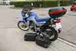 Transalp 600 PD6 Farbe Blau