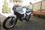 Honda Transalp XL 600 (PD06) 72082km defekt