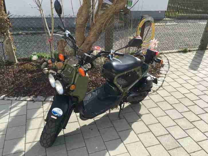 Honda Zoomer 50 - Olive Grün - Limitierte Auflage - Top Zustand - Roller 50ccm