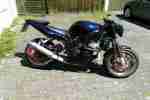 cbr 900 sc33 streetfighter