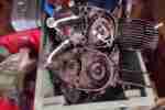 Jawa 50 Typ 20 und Jawa Mustang Typ 23
