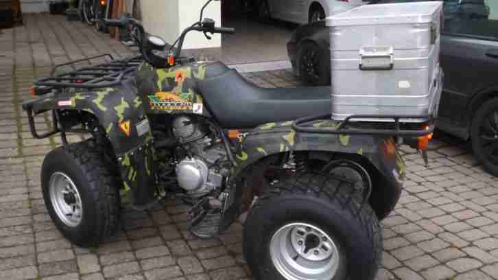 Jianshe Puma JS 250 ATV Quad nur 941 km mit Zubehör