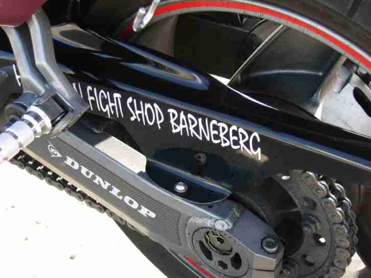 KAWASAKI ZZR 1100 ! Wegen Geldmangelbieter wieder zu haben !