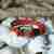KTM Armband Motorcross