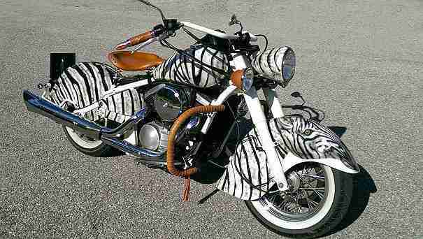 Kawasaki Drifter 800