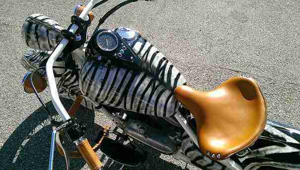 Kawasaki Drifter 800