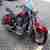 Kawasaki Drifter Cruiser