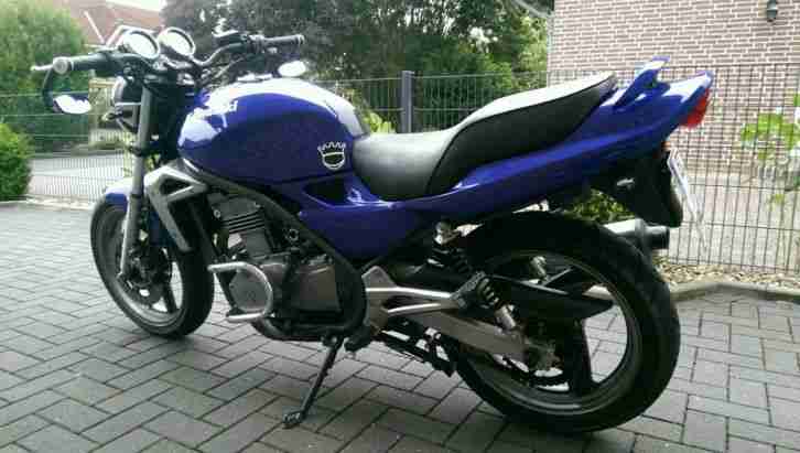 Kawasaki ER5 Motorrad *NUR 5 TAGE*