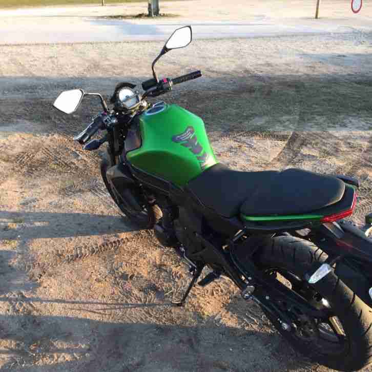 Kawasaki Er6n
