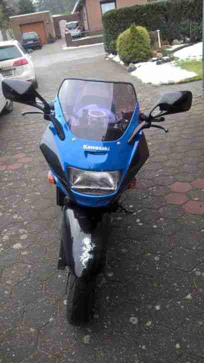 Kawasaki GPZ 1100 Horizont