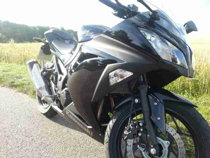 Kawasaki Ninja 300 2983km 1,5 Jahre jung