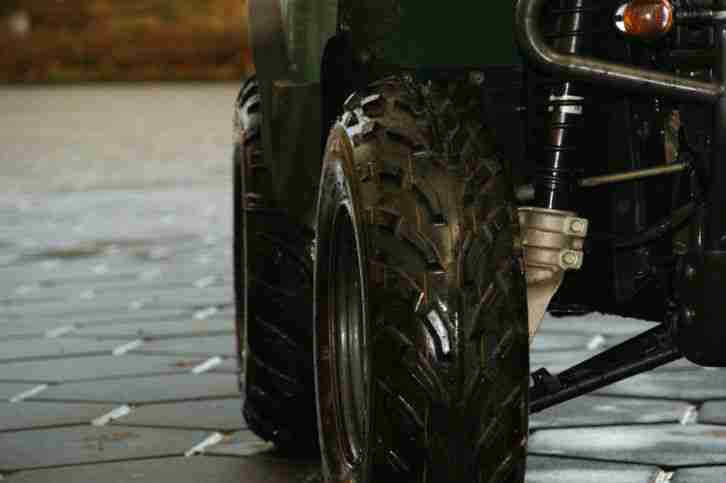 Kawasaki Quad KVF 360 LoF