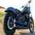 Kawasaki V900 Custom