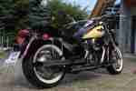 VN 800 Classic, Chopper, Bobber, No