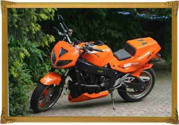 Kawasaki ZXR ZX 750H Nakedbike Umbau EGO Racer Einsitzer Monositz bike