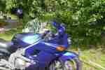 ZZR 600 blau silber