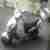 Keeway Roller