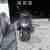 Keeway Roller F