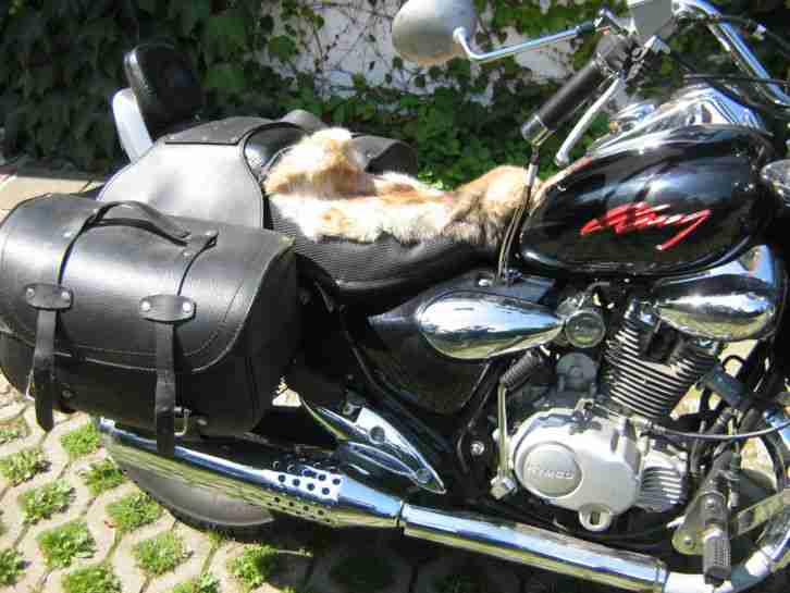 Kimco Zing optische mengel Funktionstüchtig (Fahrbereit) Tüv neu!neuer kolben