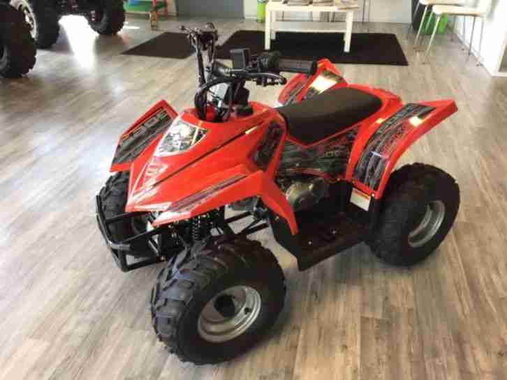 Kinder & Jugend Quad Goes G90XS NEU