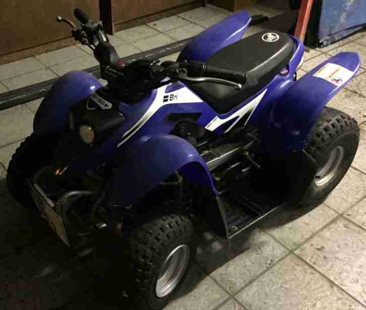Kinder Quad 50 Ccm