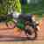 Kreidler Florett LF