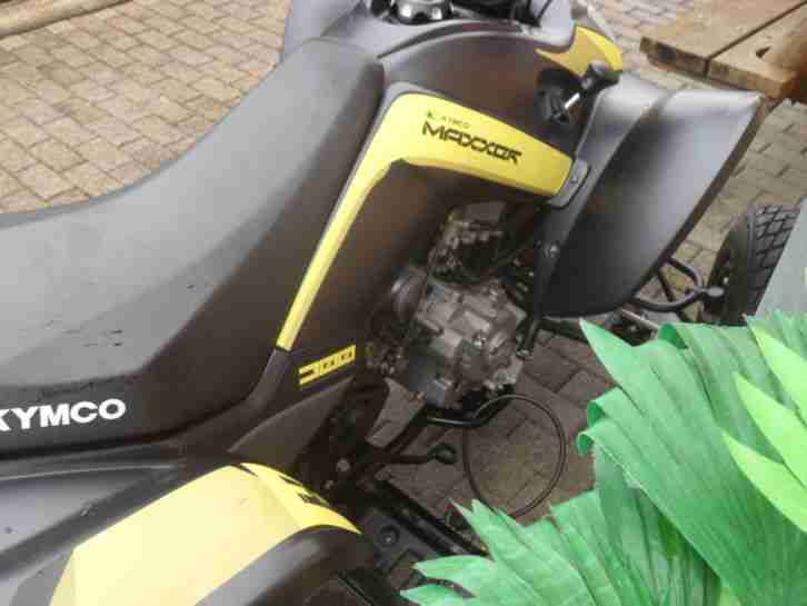 Kymco Quad 300
