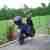 Kymco Roller Agility