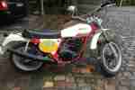 Laverda 250 T chott Sixdays Srambler