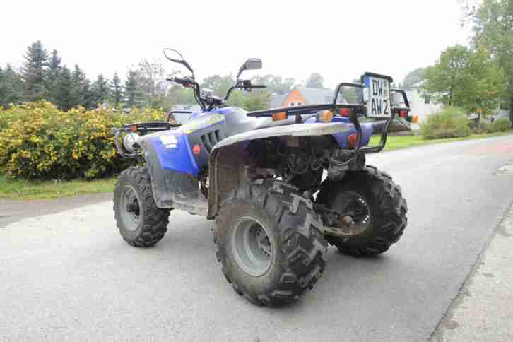 Linhai Quad 260 300,Bj. 2004, KM 4583