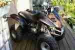 Loncin Lx110st