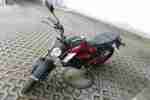 MOPED MOTORRAD KYMCO K PIPE 50 , TOP ZUSTAND