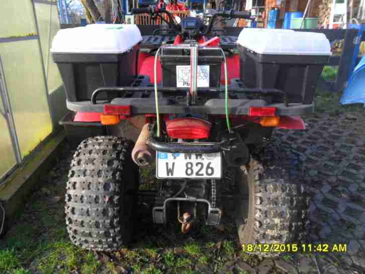 MZ Bison MT-175 / Reintech ATV - Arbeitstier zum Holz machen