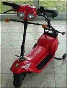 MZ Charly E-Roller Camping MuZ defekt