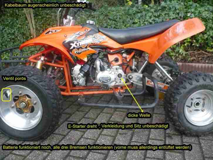 Masai Typhoon Xtreme Typhoon, Mastiff Rennquad, Vollcross