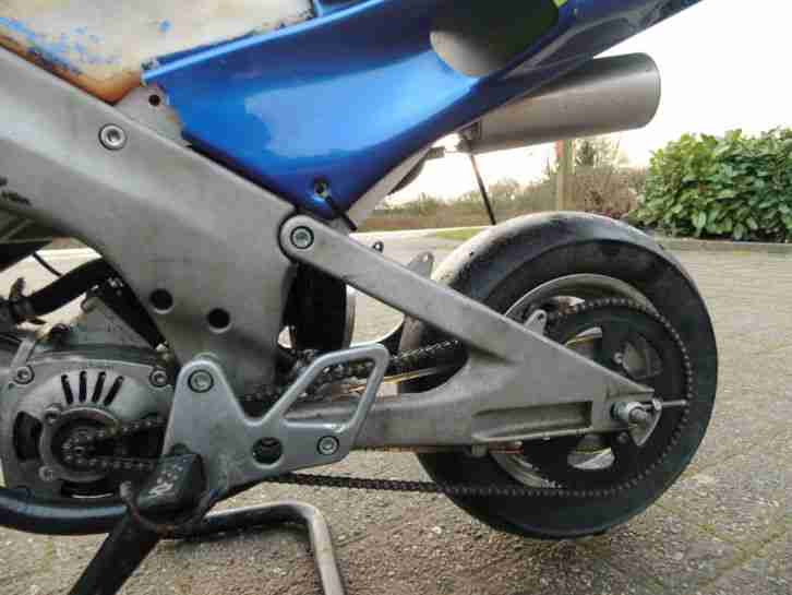 Mini Bike Polini 40cc 13ps Racing Pocketbike Motor Rennen Tuning Highend Umbau