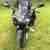 Monster Honda VTR