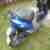 Moped Roller bis