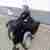 Moto Guzzi Gespann
