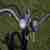 Motobecane Mobylette AV42